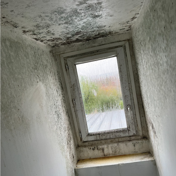 humiditi - Condensation